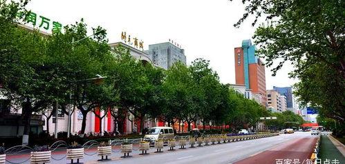 宝鸡新福路最新爆料,揭秘神秘爆料背后的真相