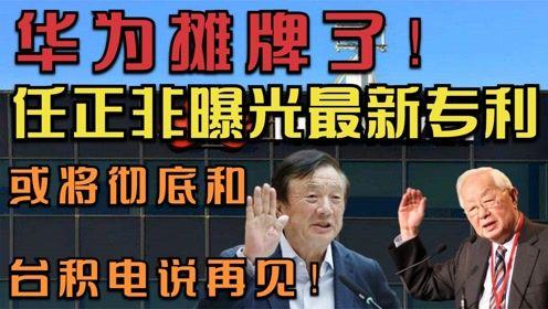 任正非最新爆料,任正非揭秘企业转型与未来战略