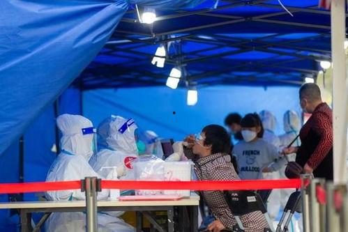 石家庄爆料藁城疫情最新消息,多举措应对，防控形势持续关注